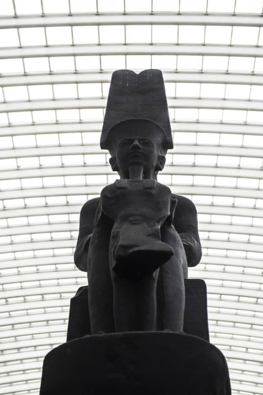 Information de contact